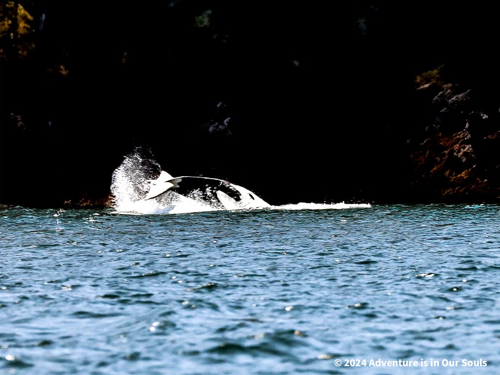 Anacortes Washington