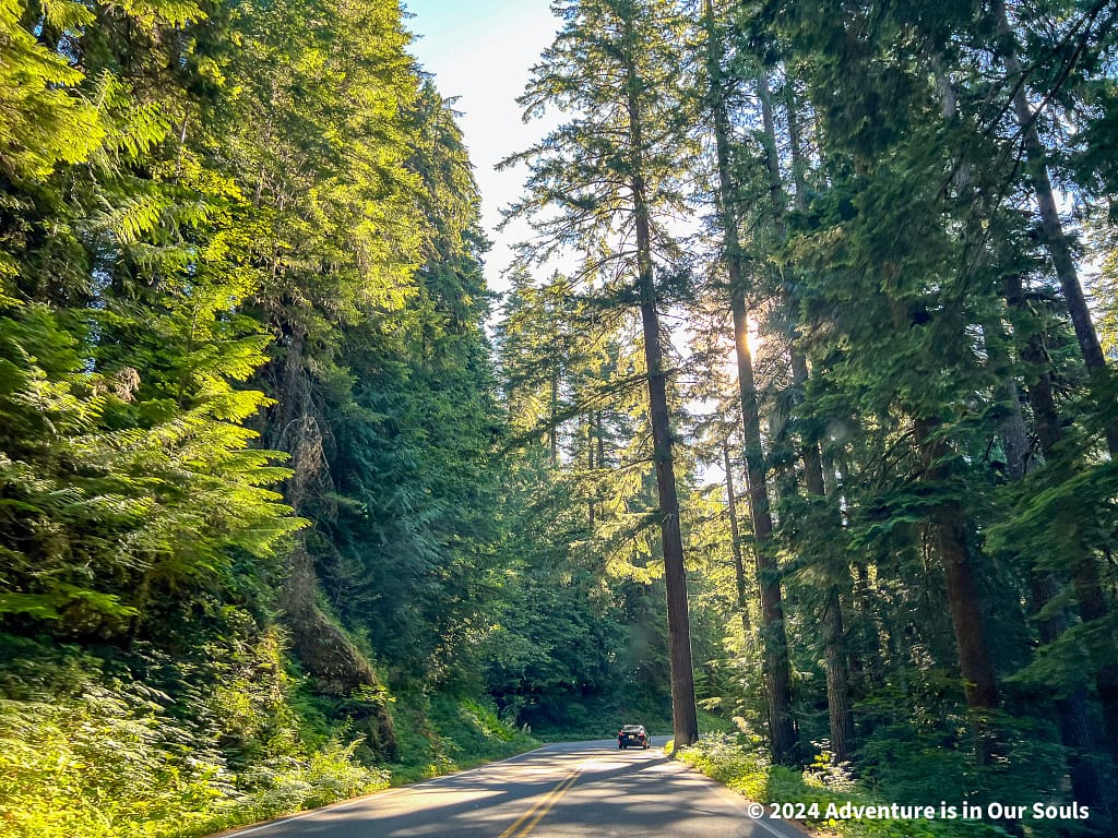 Mt Rainier National Park