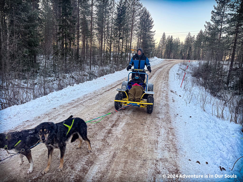 Huskies - Finland