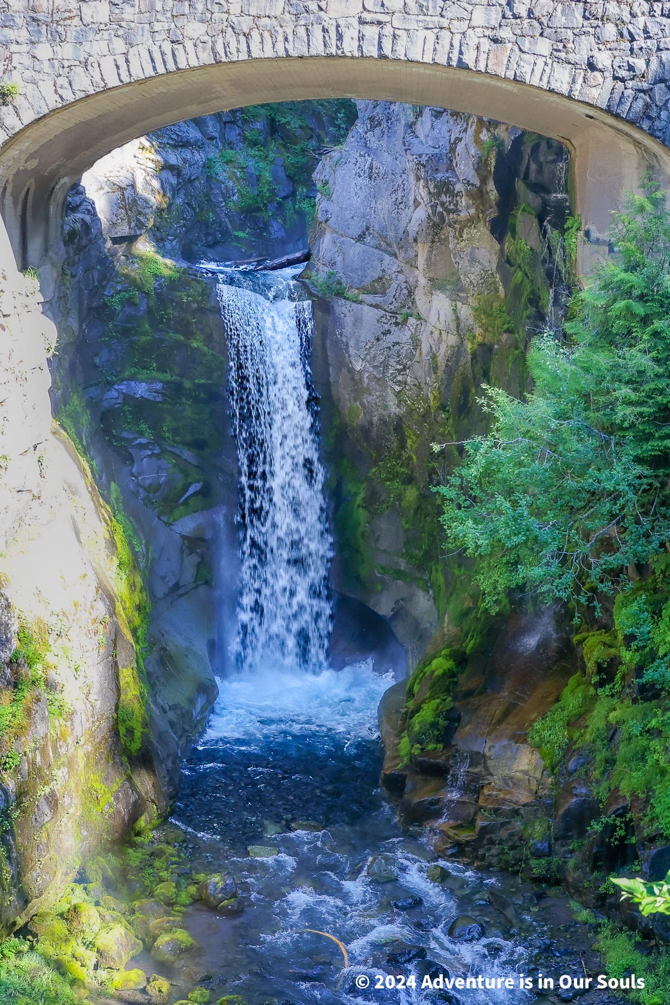 Mt Rainier National Park