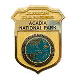 Acadia Jr Ranger Badge