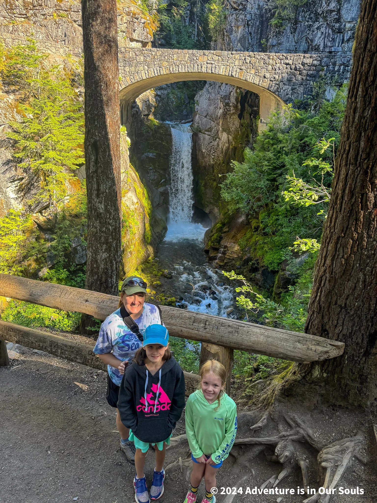 Mt Rainier National Park