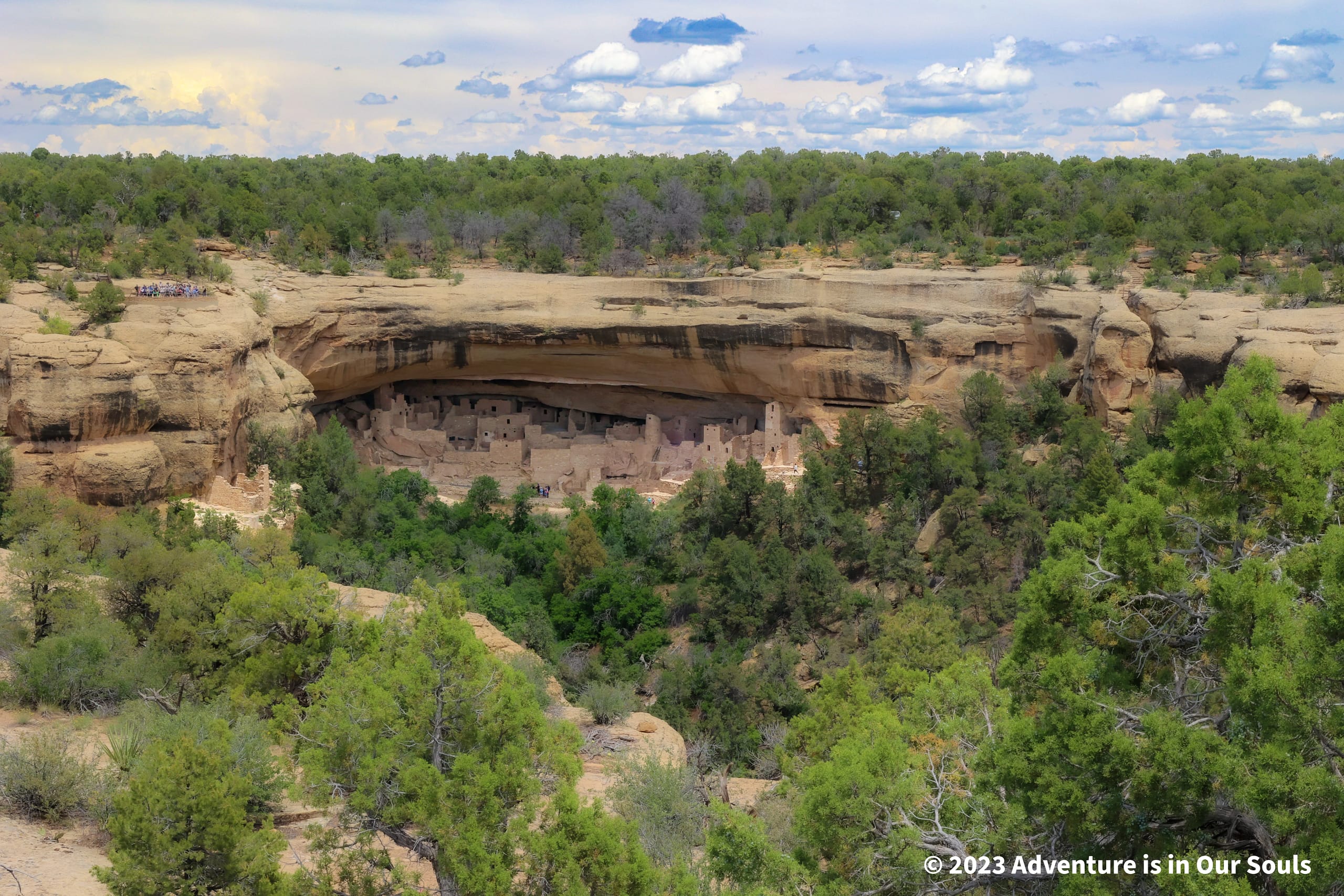 View of Cliff Palace from Sun Point View - Mesa Verde National Park