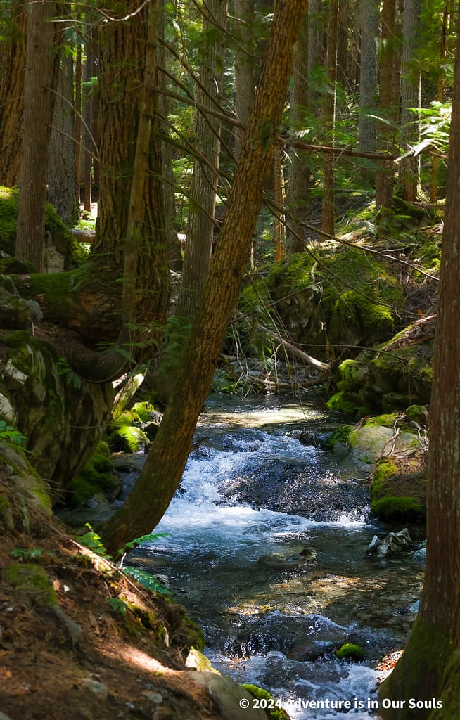 North Cascades NP
