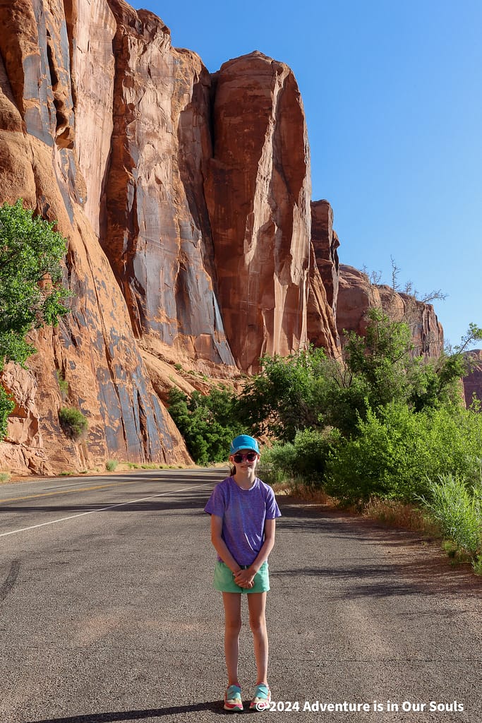 Petroglyphs - Canyonlands National Park