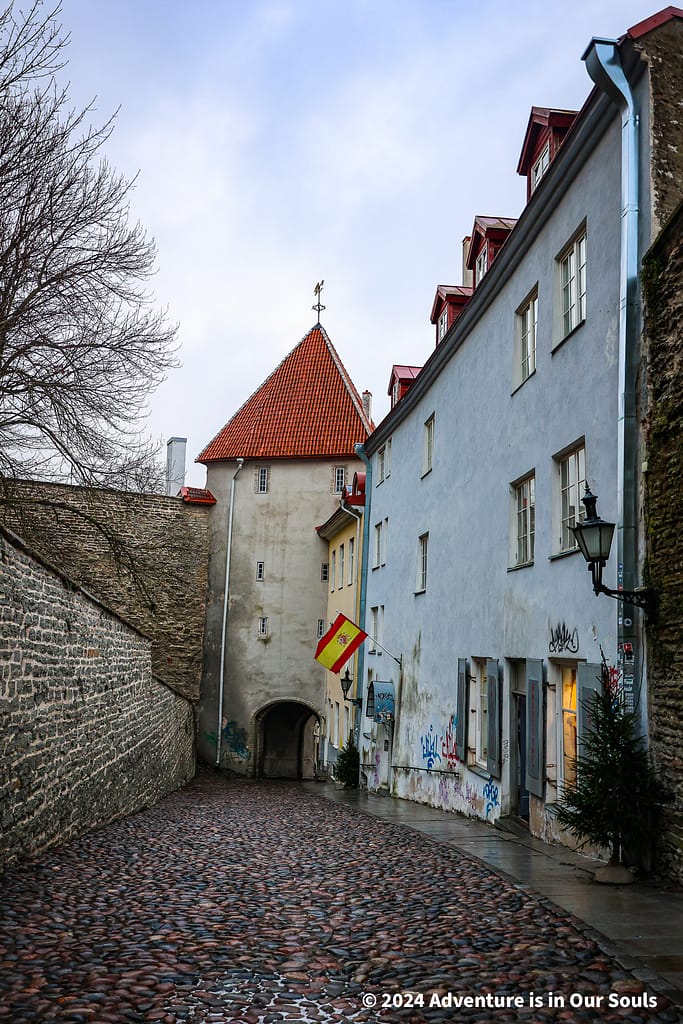 Long Leg Gate Tower - Estonia
