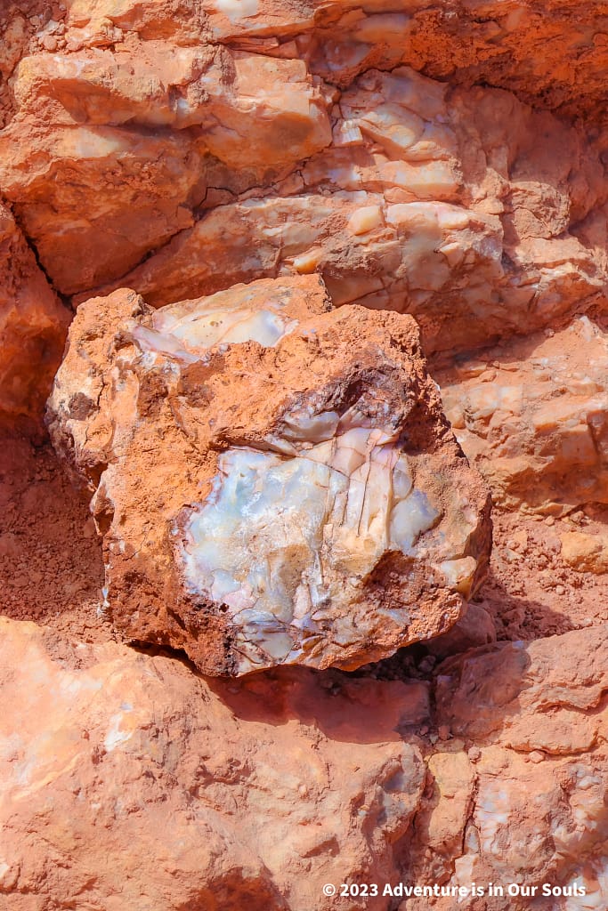 Salt Valley area - Arches National Park