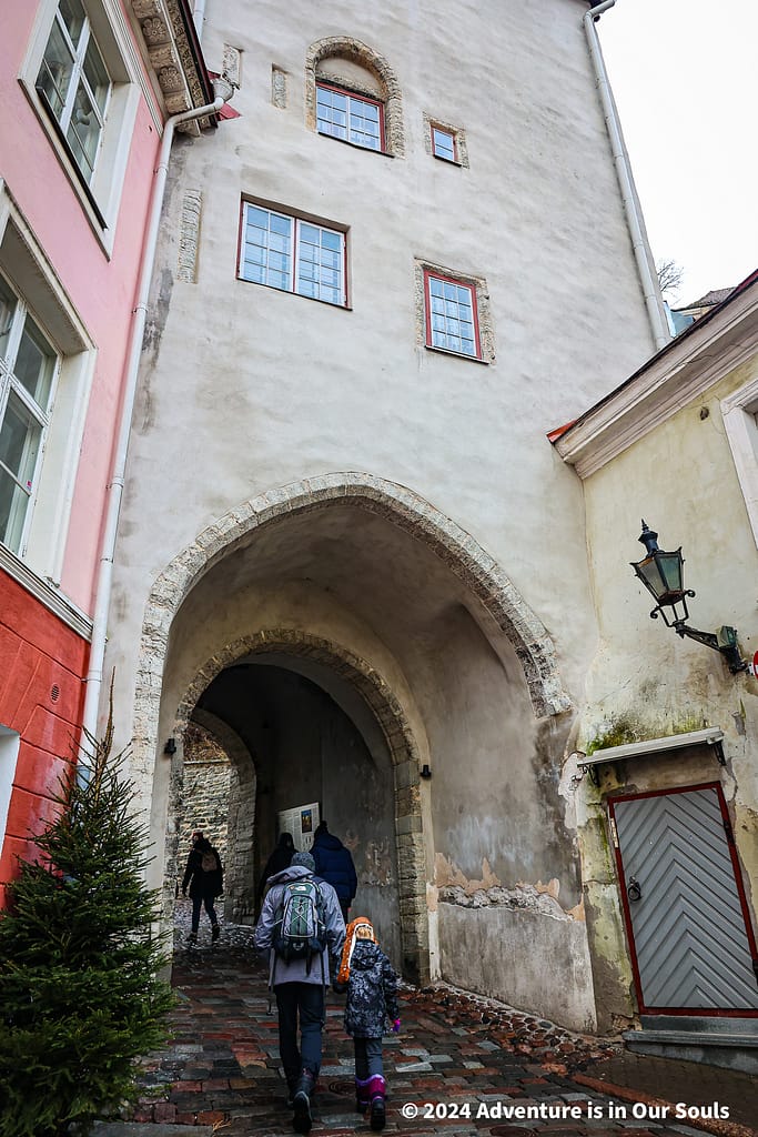 Long Leg Gate Tower - Estonia