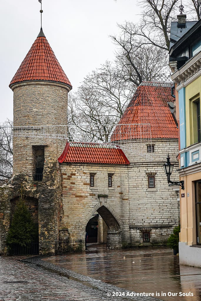 Viru Gate - Estonia