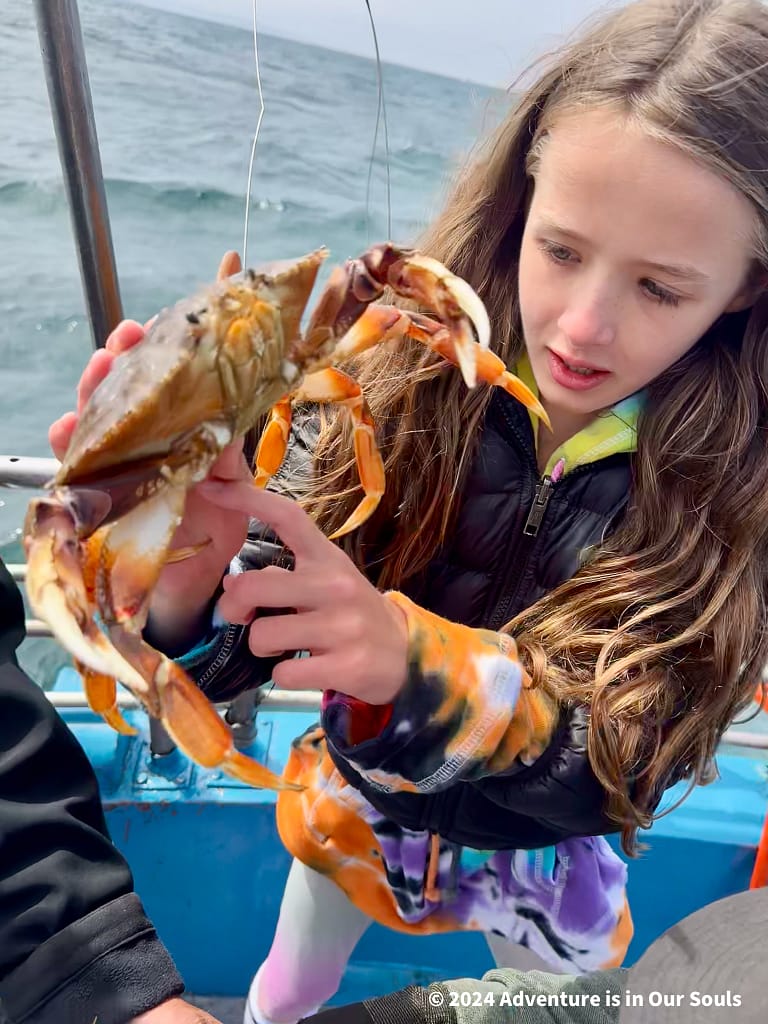 Newport Fishing