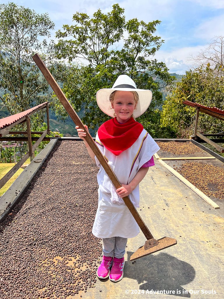 Coffee Farm - Medellin Colombia