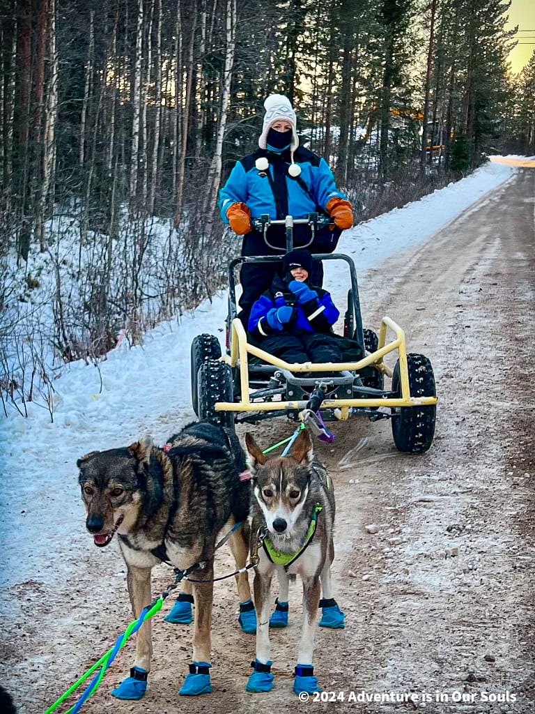 Huskies - Finland