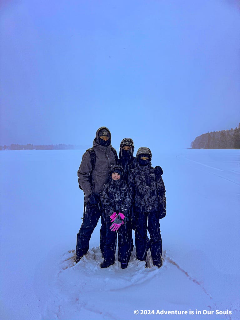 Reindeer - Finland
