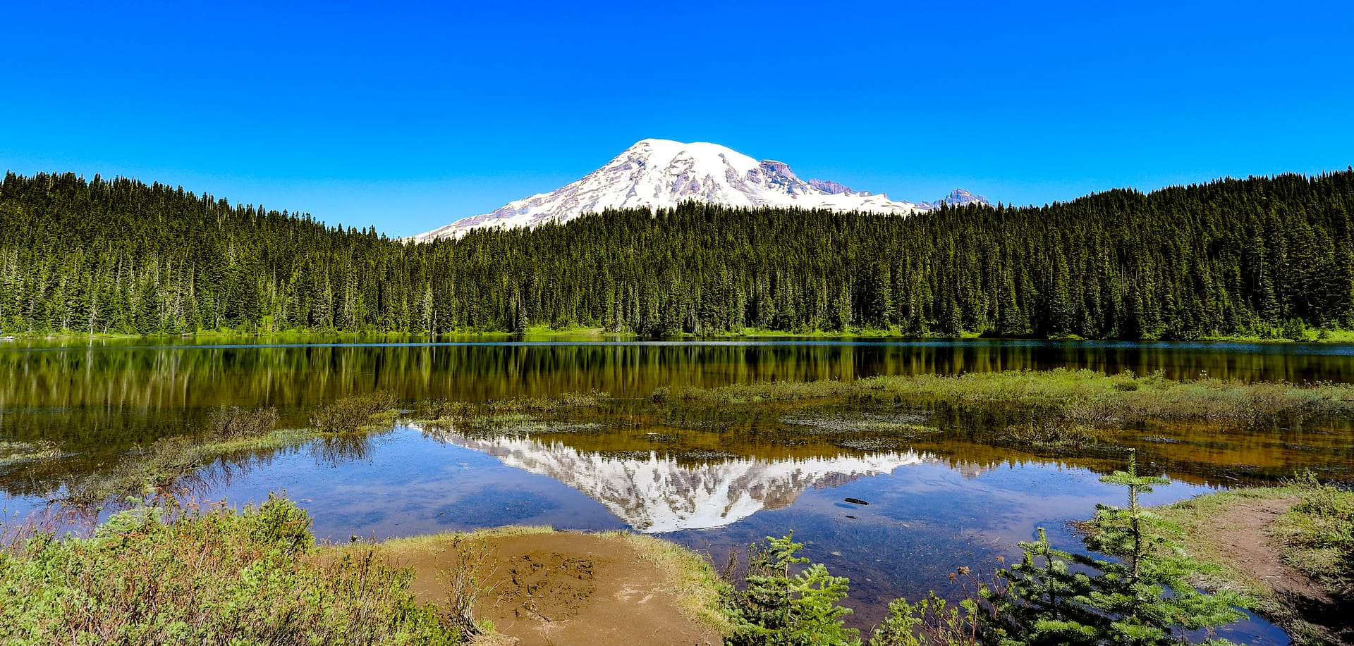 Mt Rainier National Park